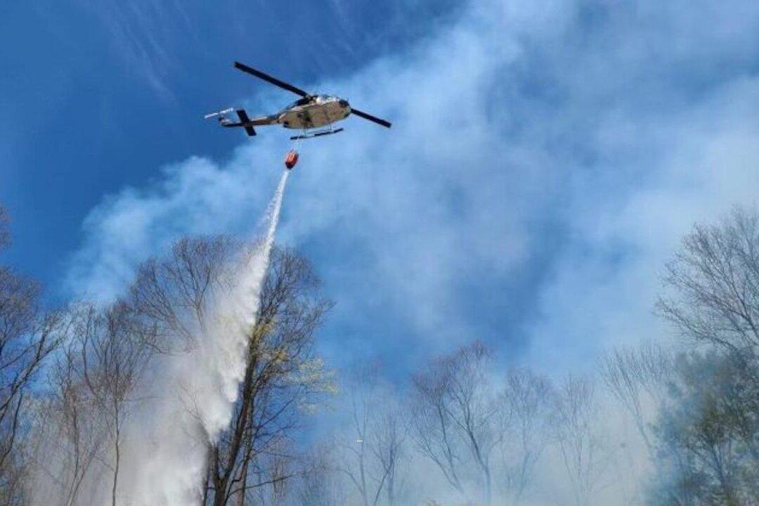 Orange County Enacts Burn Ban Amid Dry Weather