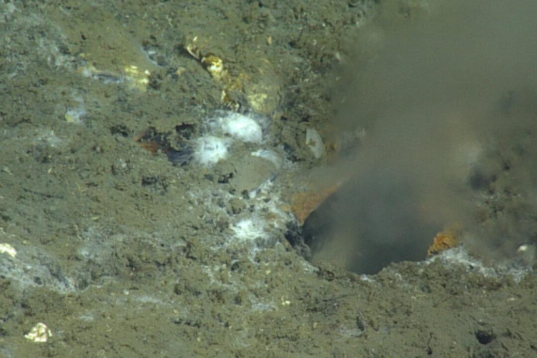 A Leak on Pacific Ocean Floor May Be Source of Earthquake, Scientists Say