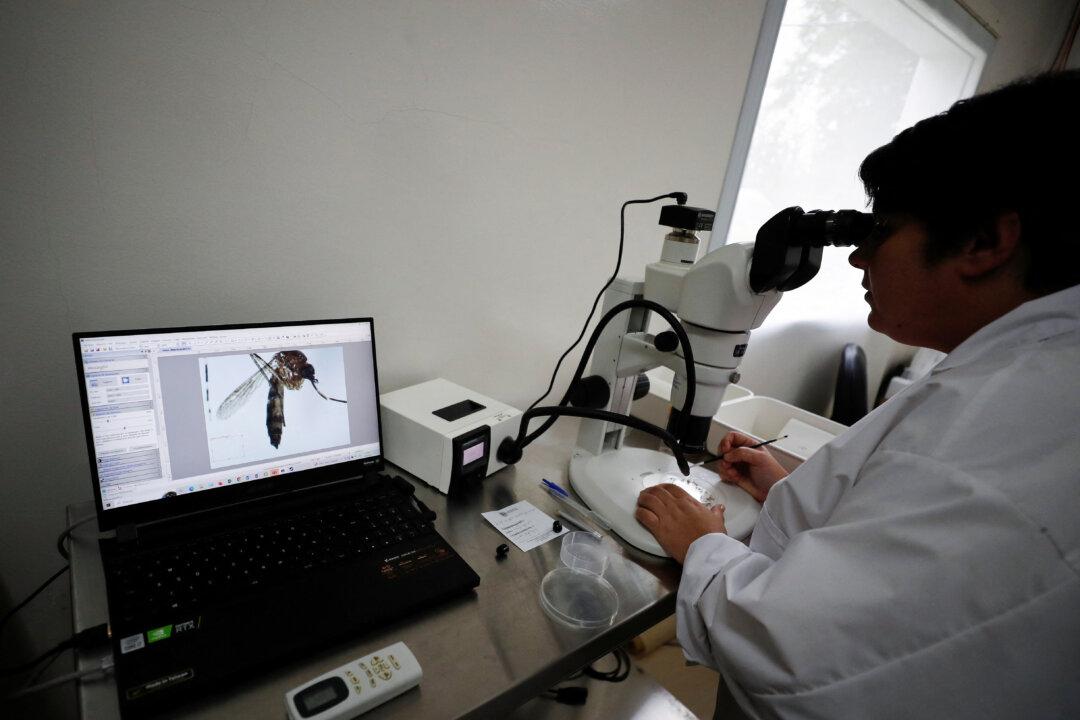 Argentina Battles Major Dengue Outbreak With Atomic Radiation