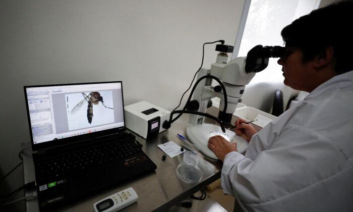Argentina Battles Major Dengue Outbreak With Atomic Radiation
