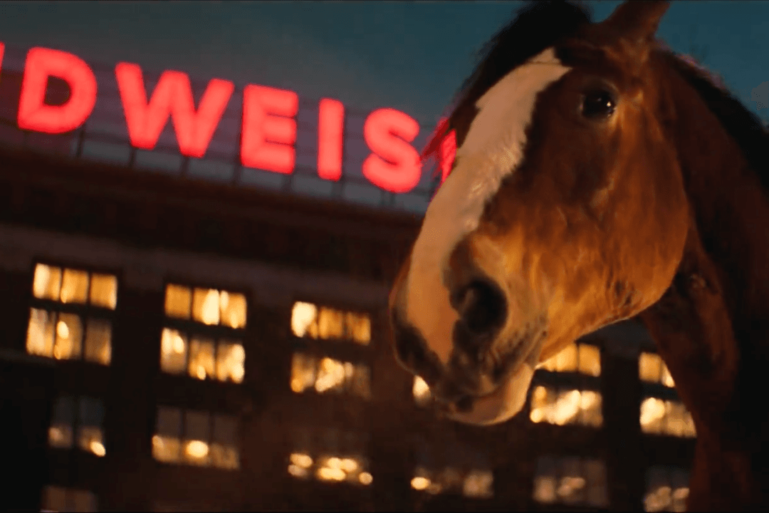 IN-DEPTH: Can Budweiser’s New Pro-America Ad Fix Transgender Controversy? Beer Drinkers Doubt It