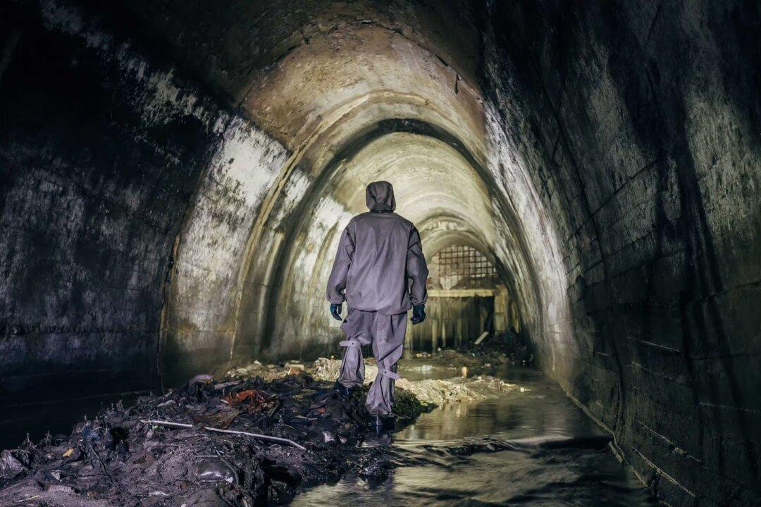 What They Meant by Essential and Nonessential