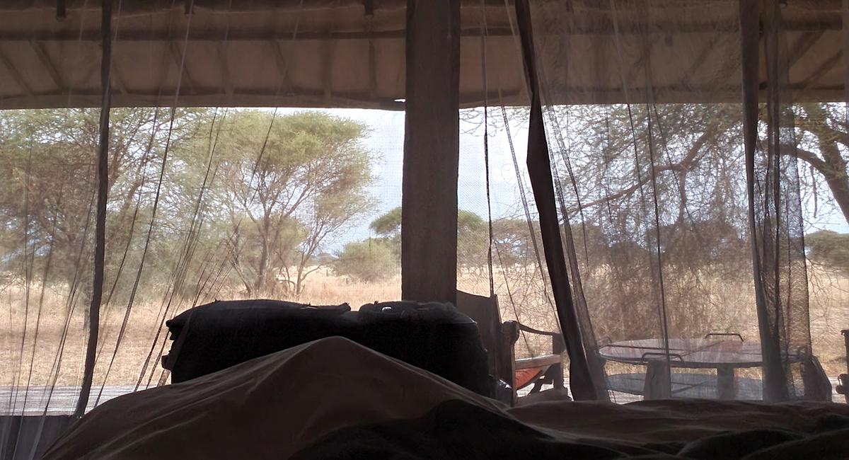 The open front screen offers guests a morning view of the landscape while they're waking up. (Colleen Thomas/TNS)
