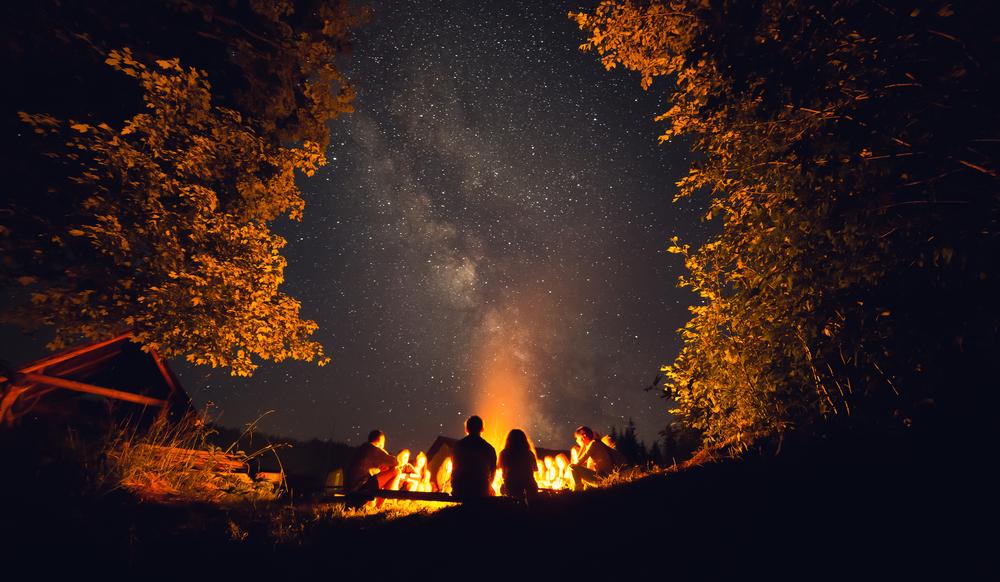 Unique Camping Experience in Alberta Gets Visitors Close to Wildlife