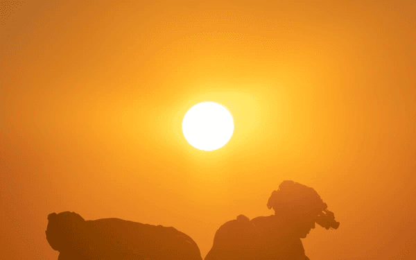 I’m a Veteran, Ask Me Anything (Again)