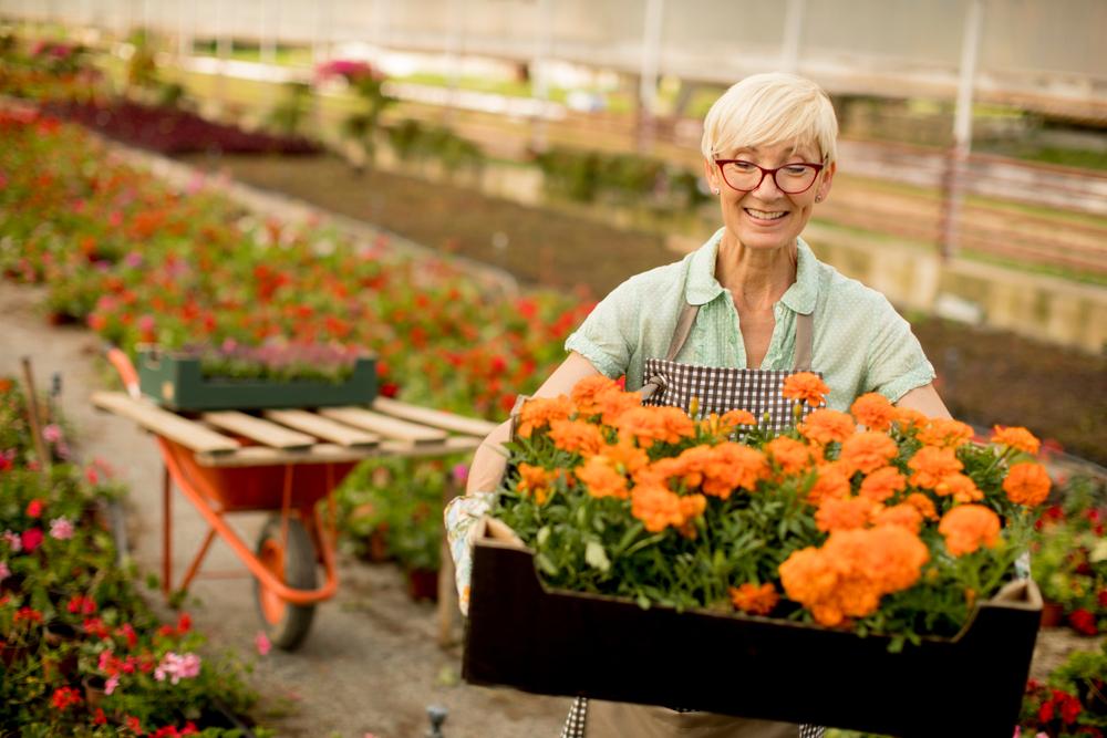 The Art of Companion Planting, Part 1: Flowers