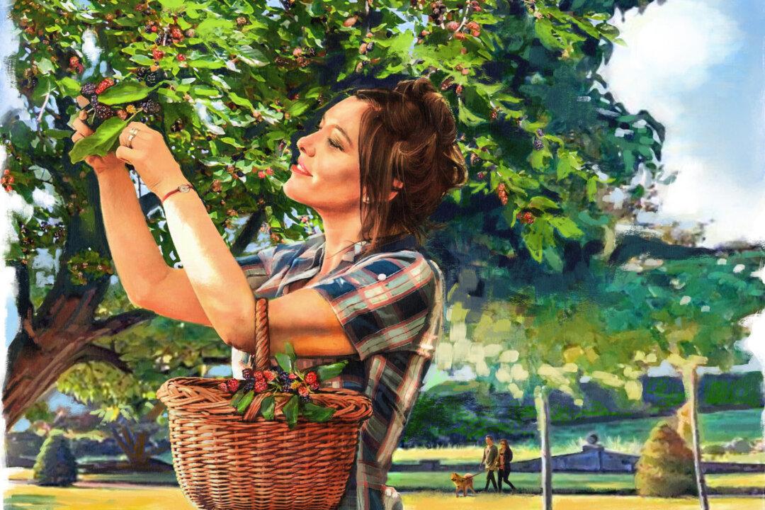 Foraging for the Future