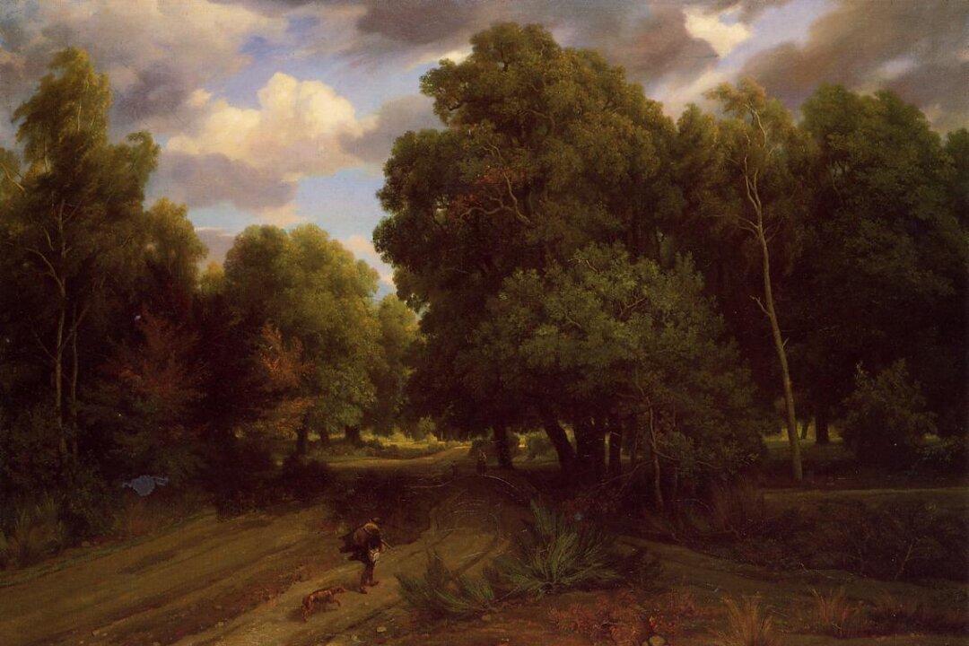 Book Review: ‘The Power of Trees: How Ancient Forests Can Save Us if We Let Them’