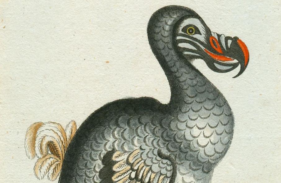 The Woke Revolution Is Erasing the Past