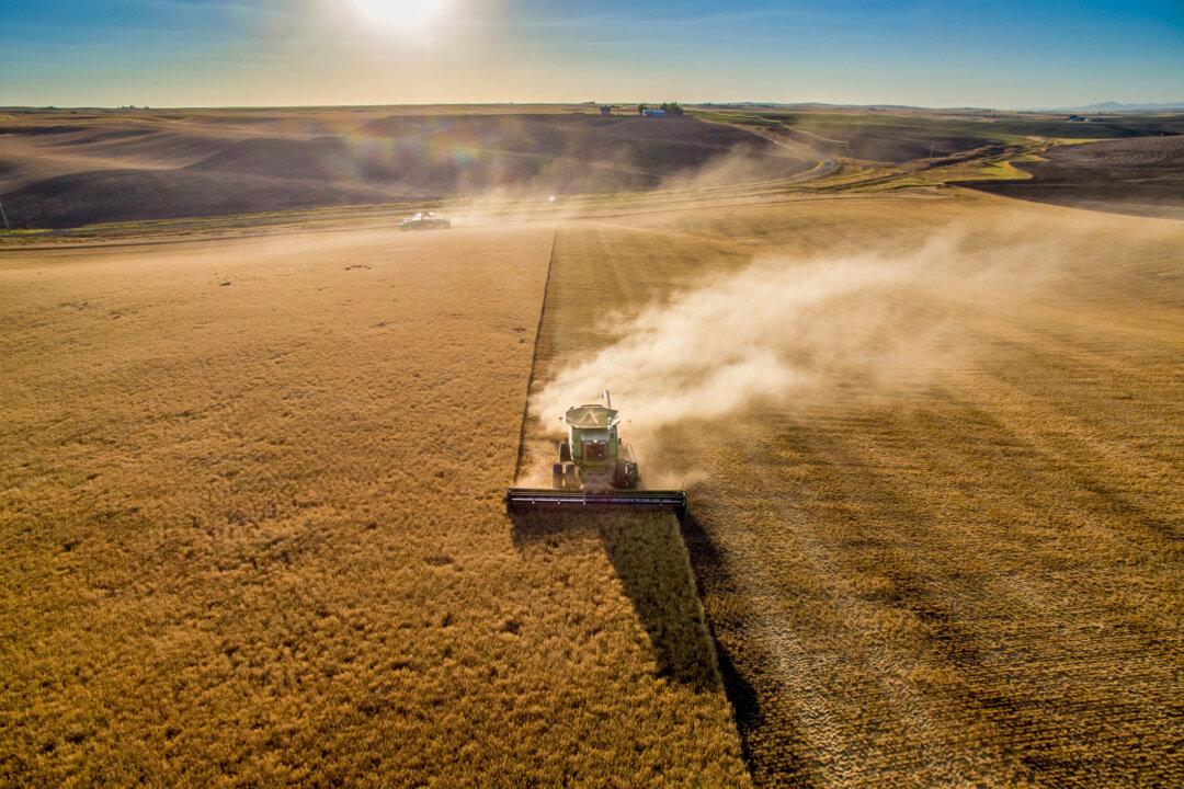 IN-DEPTH: Battle for the Heartland—How US Farmland Is Quietly Falling Into Chinese Hands