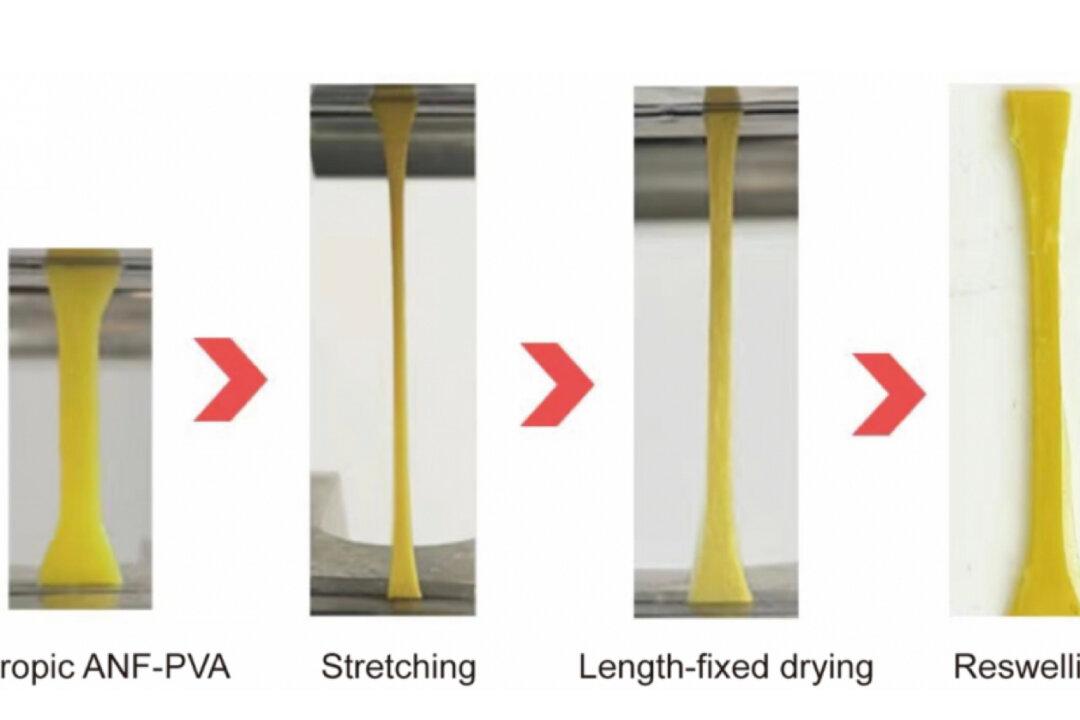 HKU Develops Tendon-Mimetic Hydrogels for Human Tissue Repair and Implantable Medical Treatment