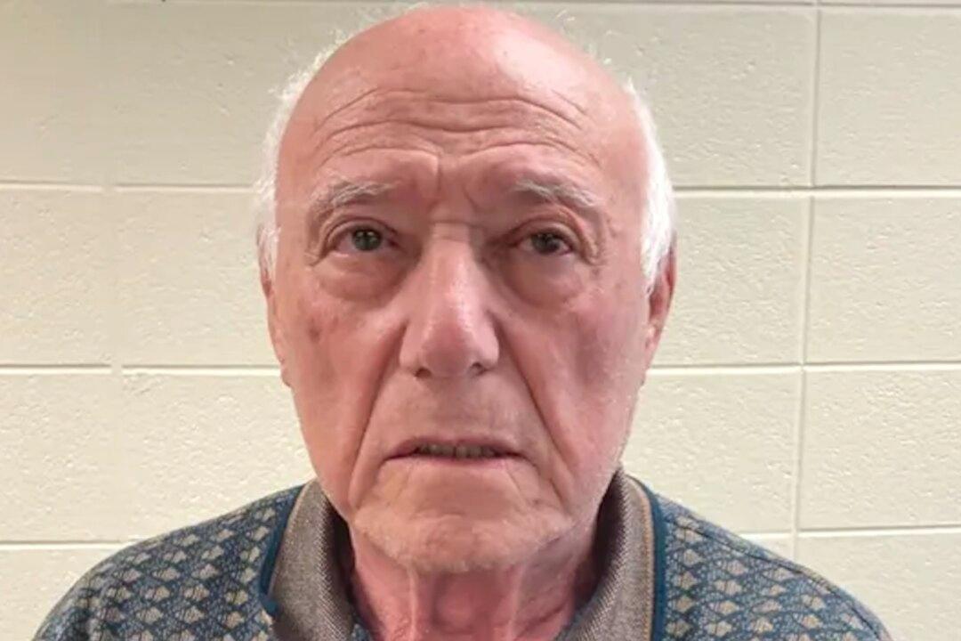 Illinois Man Arrested for Allegedly Killing Neighbor Over Noisy Leaf Blower