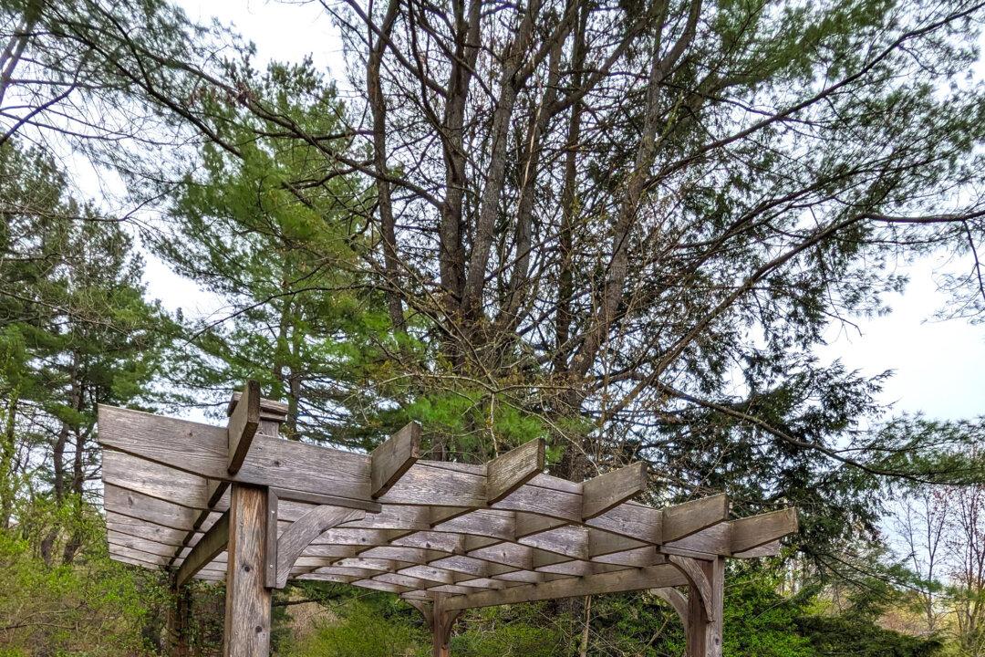 Your New Patio Pergola