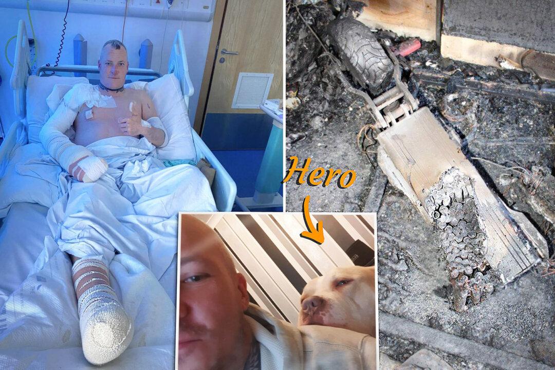 ‘Hero Dog’ Dies Saving Owner From Devastating Apartment Fire Caused by E-scooter Battery