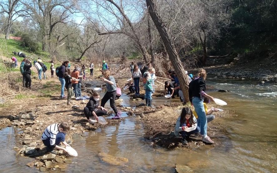 New California Gold Rush Coming as Record Snowpack Melts