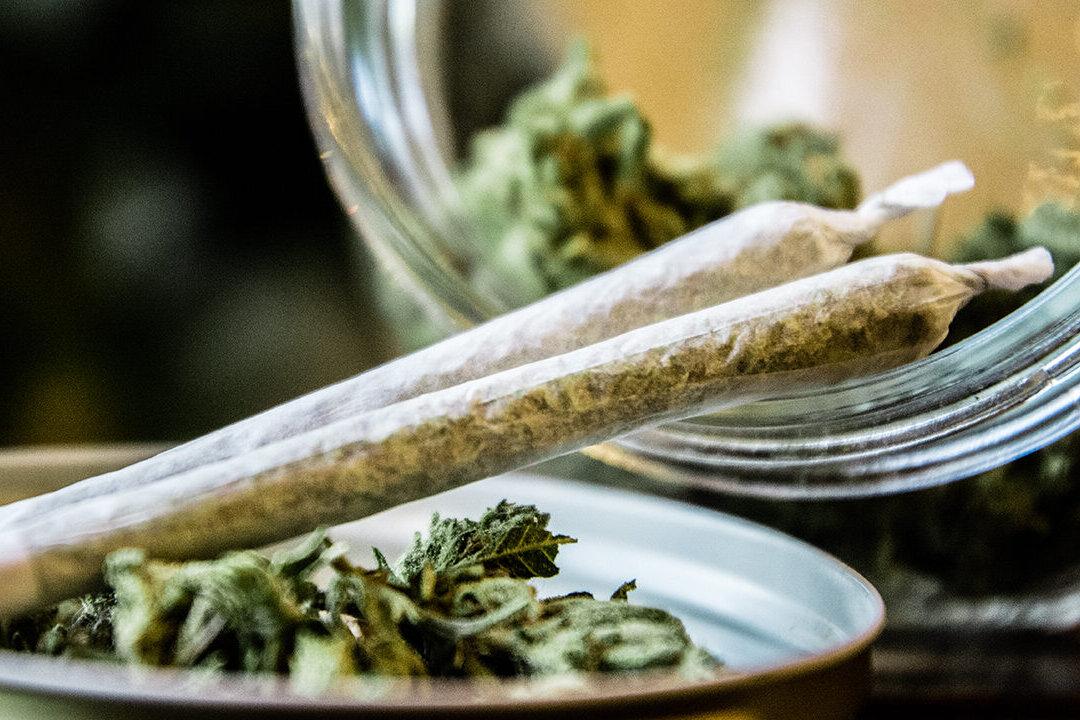 Cannabis Legalization Has Contributed to 13-Year-Olds’ Consumption, Federal Research Finds