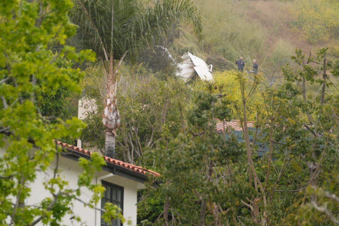 One Killed When Plane Slams Into Hillside in LA Neighborhood