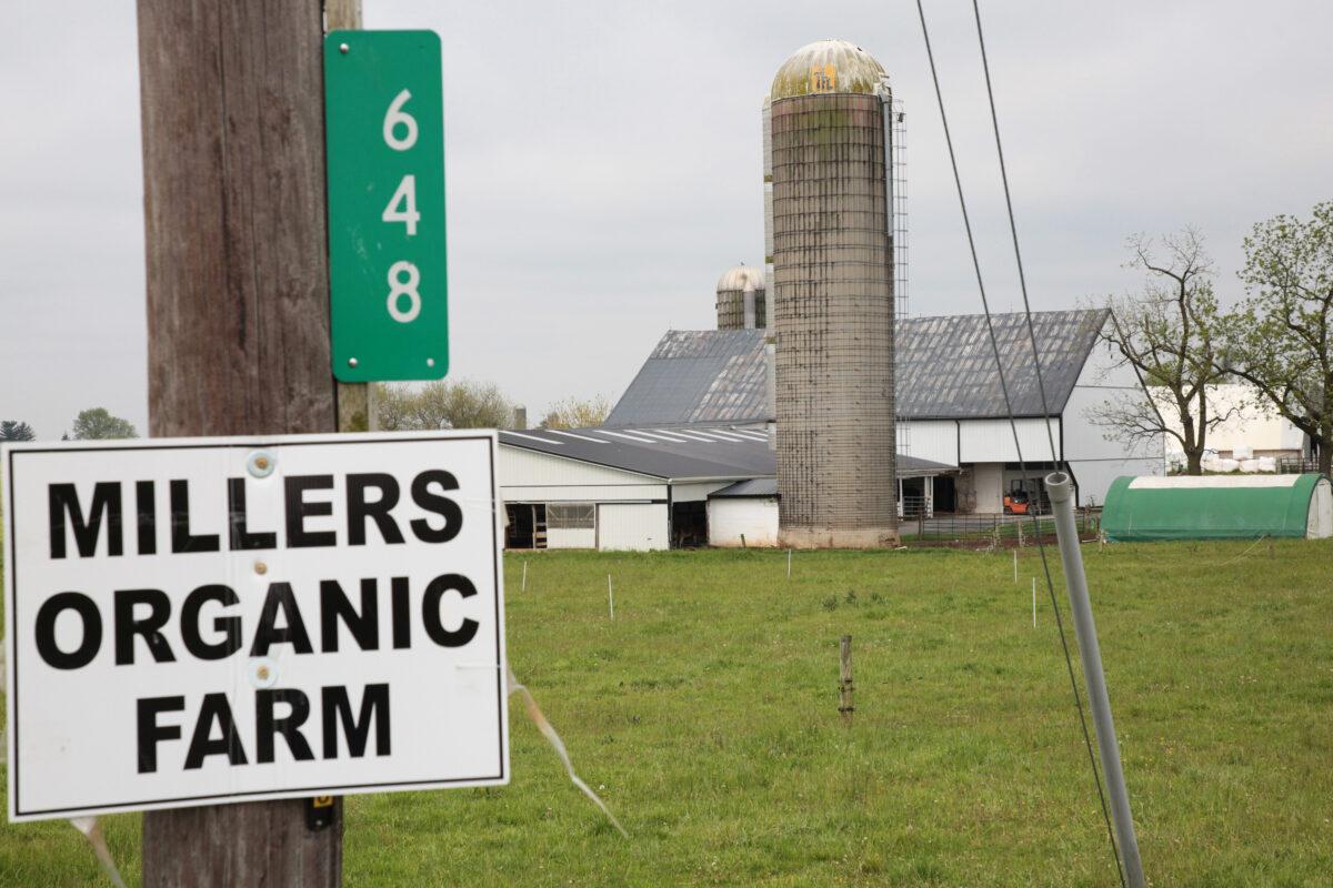 Miller's Organic Farm in Bird-in-Hand, Pa., on March 27, 2023. The farm is involved in a legal dispute over federal food safety laws. (Richard Moore/The Epoch Times)