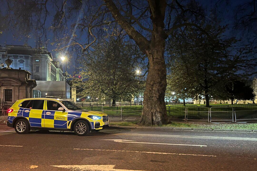 Man Arrested Outside Buckingham Palace After Shotgun Cartridges Thrown Over Fence