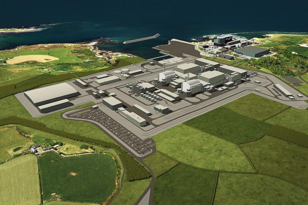 MPs Call for ‘Concrete Action’ Over Welsh Nuclear Power Plant