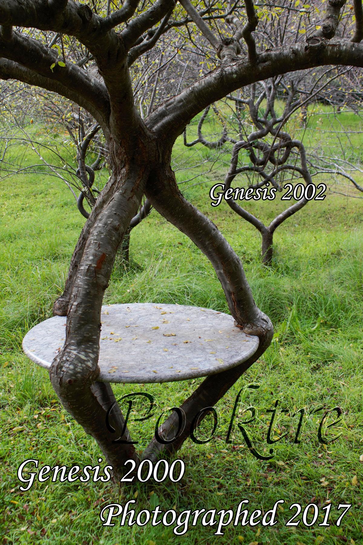 (Courtesy of <a href="https://www.pooktre.com/">Pooktre</a>)