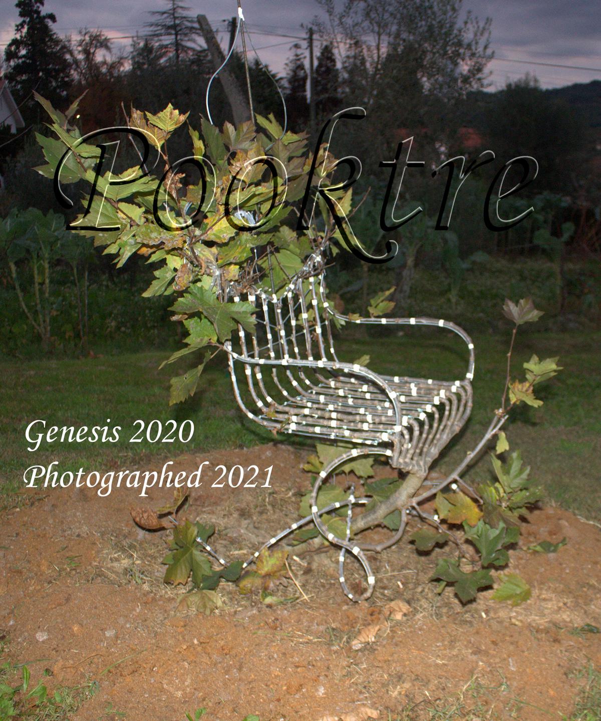(Courtesy of <a href="https://www.pooktre.com/">Pooktre</a>)