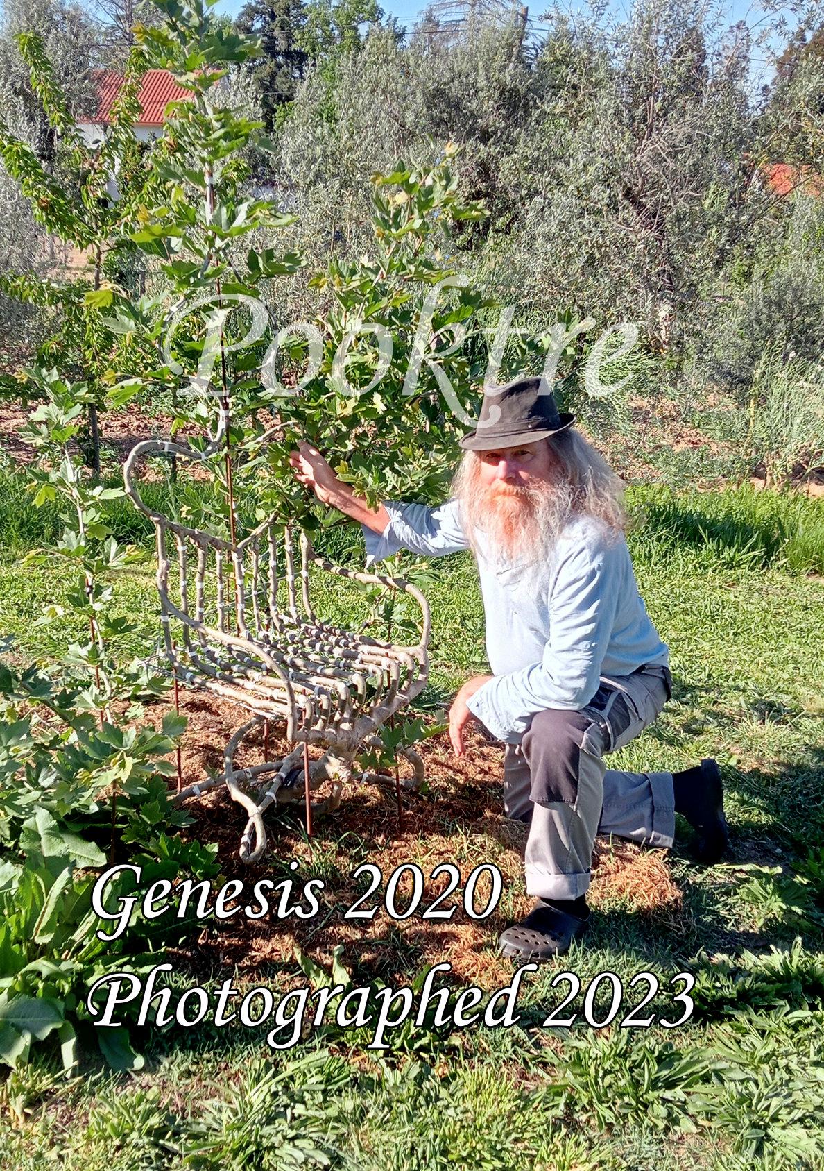 (Courtesy of <a href="https://www.pooktre.com/">Pooktre</a>)