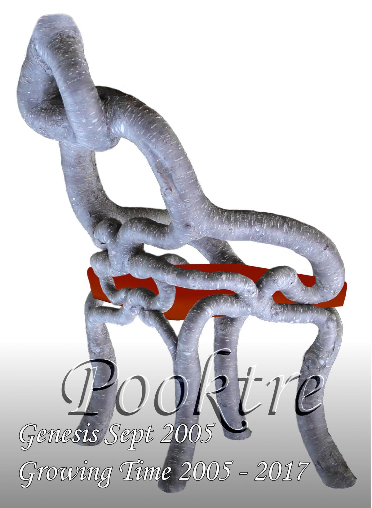 (Courtesy of <a href="https://www.pooktre.com/">Pooktre</a>)