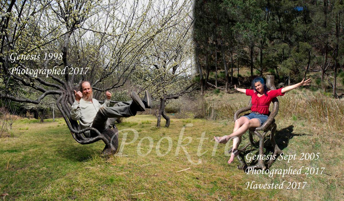 (Courtesy of <a href="https://www.pooktre.com/">Pooktre</a>)