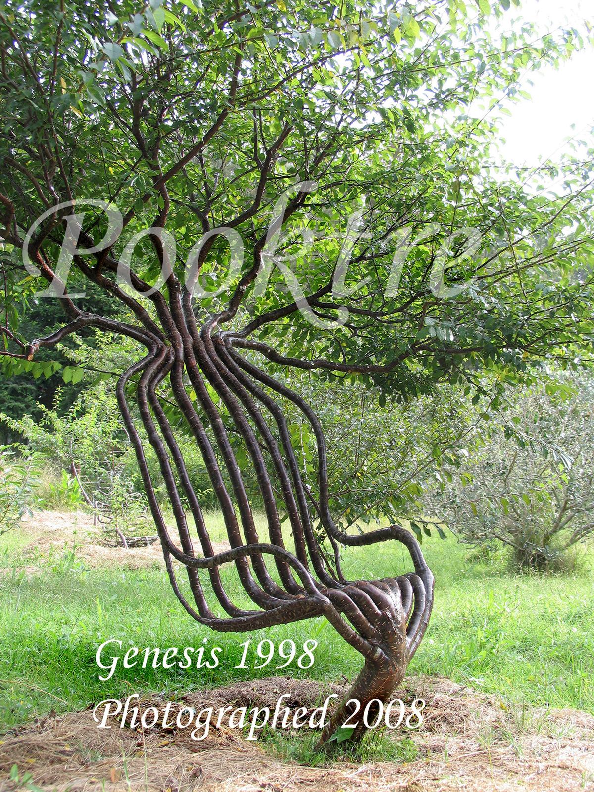 The "living chair." (Courtesy of <a href="https://www.pooktre.com/">Pooktre</a>)