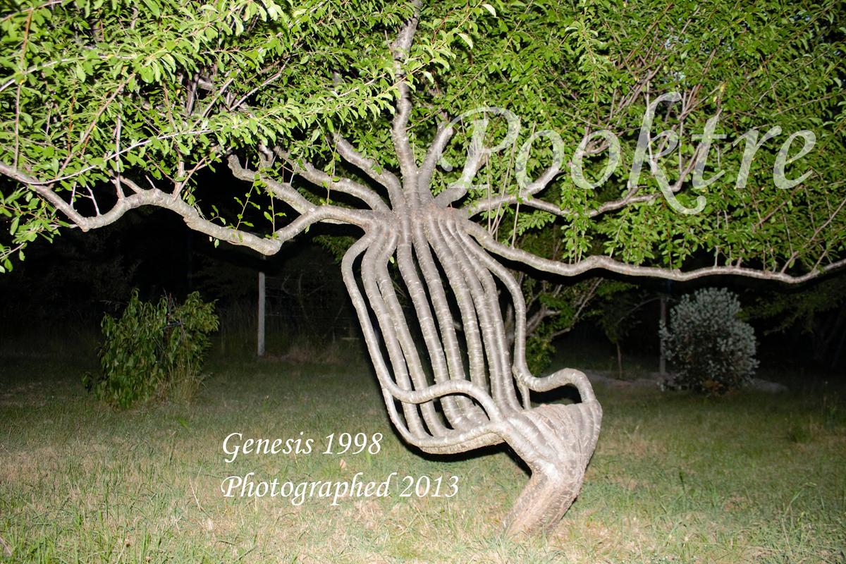 (Courtesy of <a href="https://www.pooktre.com/">Pooktre</a>)