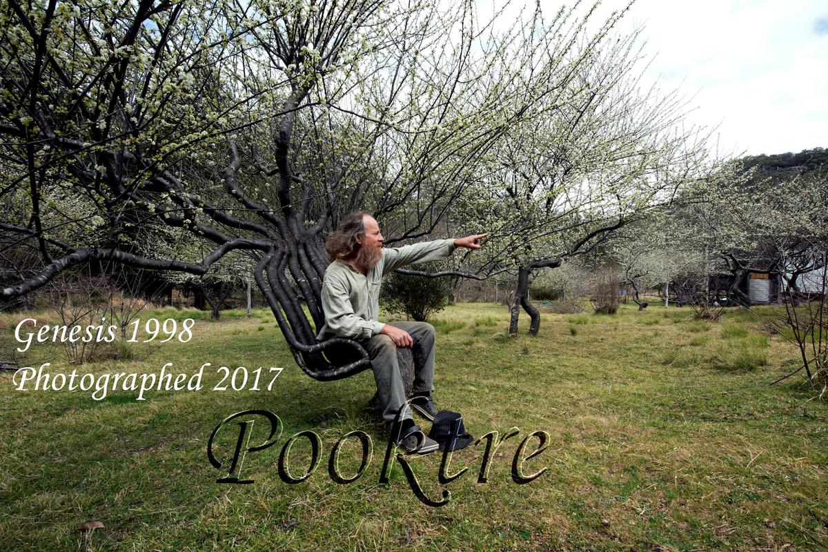 (Courtesy of <a href="https://www.pooktre.com/">Pooktre</a>)