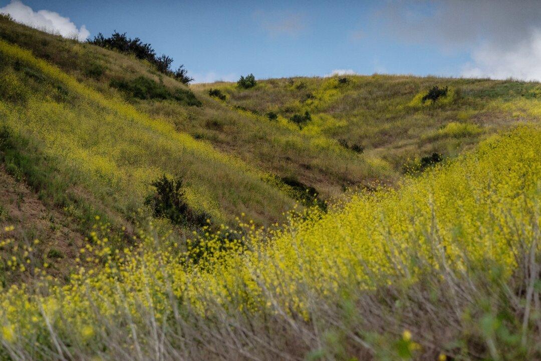 Orange County Welcomes Its Newest Trail System
