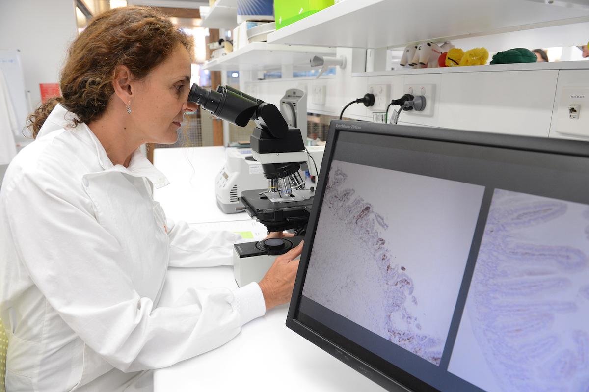 Artificial Intelligence Stopping Chemo Side Effects in Australian Research