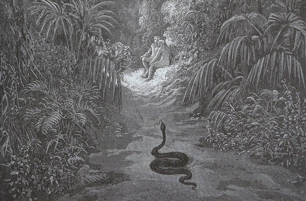 Looking for Wisdom Behind Beauty’s Mask