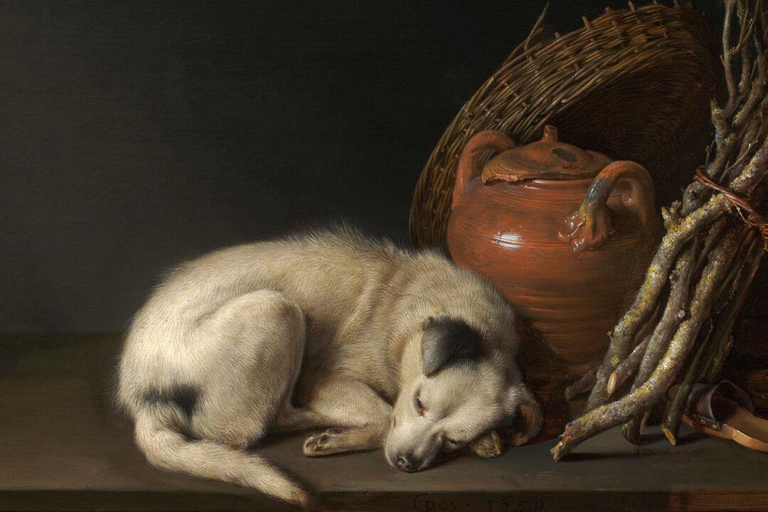 The Power of the Dog: Centuries of Canines in Art