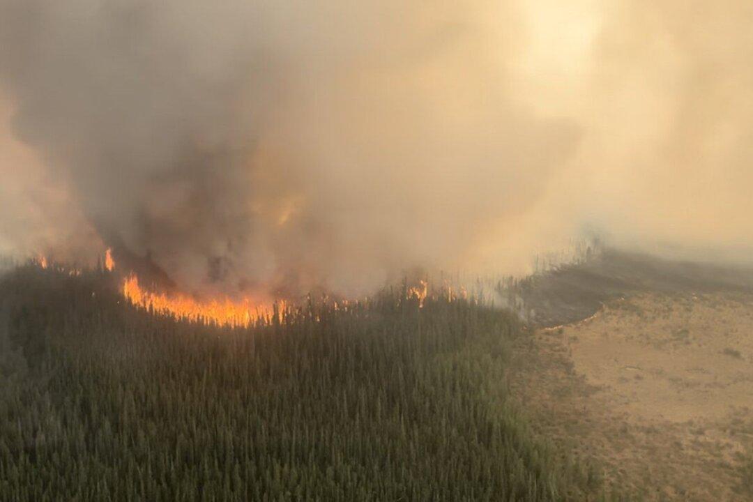 Western Canada Braces for Early Heat Wave, Raising Wildfire Risk in Alberta and BC