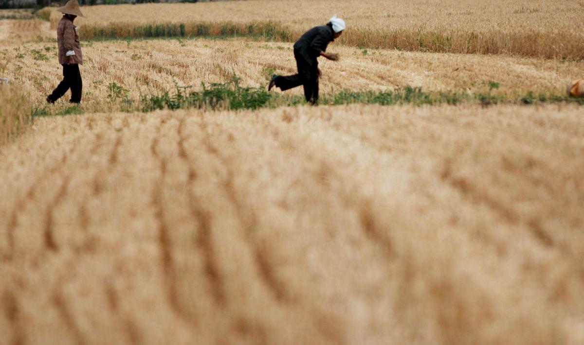 China’s Heavy-Handed ‘Rural Management’ Campaign Sparks Widespread Discontent