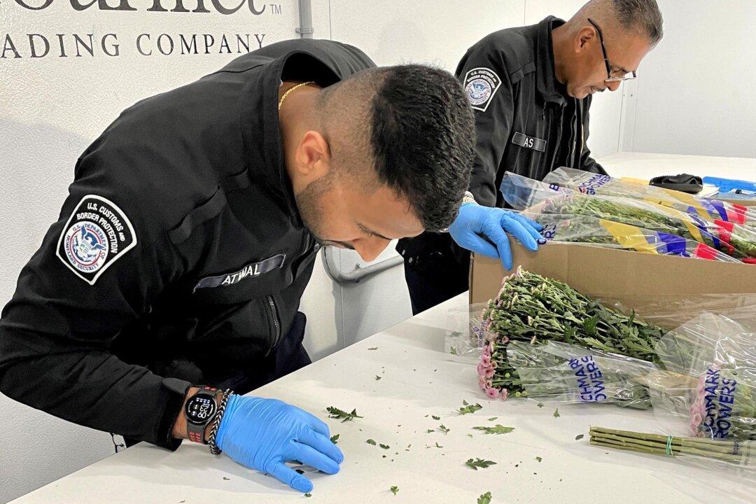 California Border Protection Inspects Imported Flowers for Mother’s Day