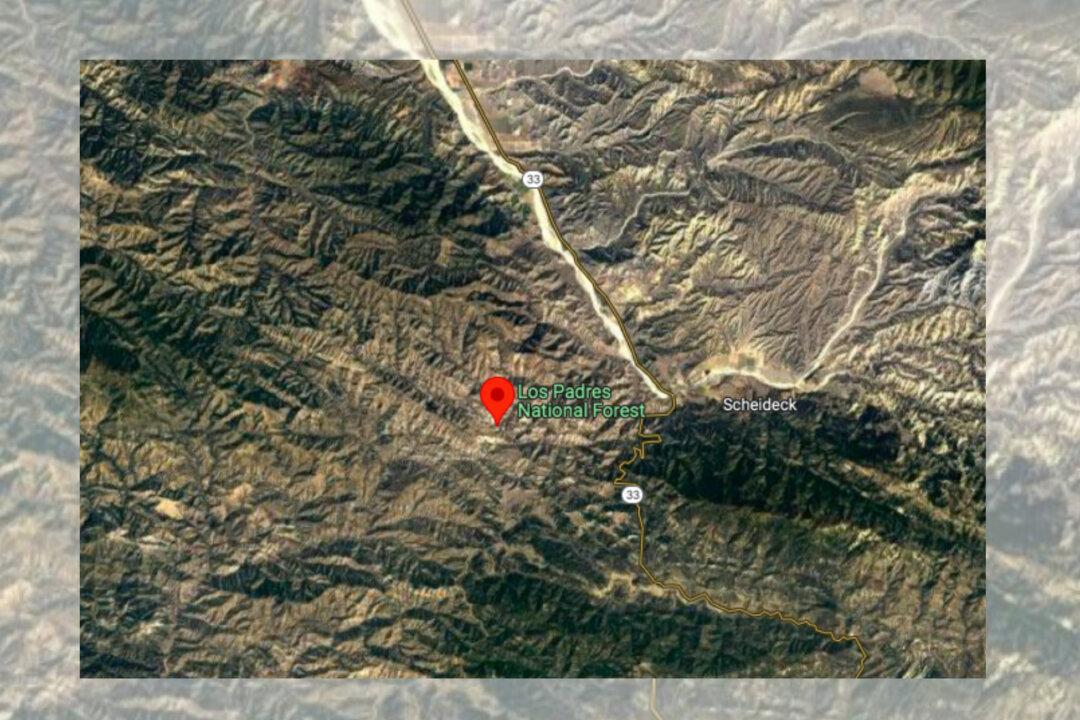 California Pilot Who Staged Plane Crash for YouTube Views Pleads Guilty