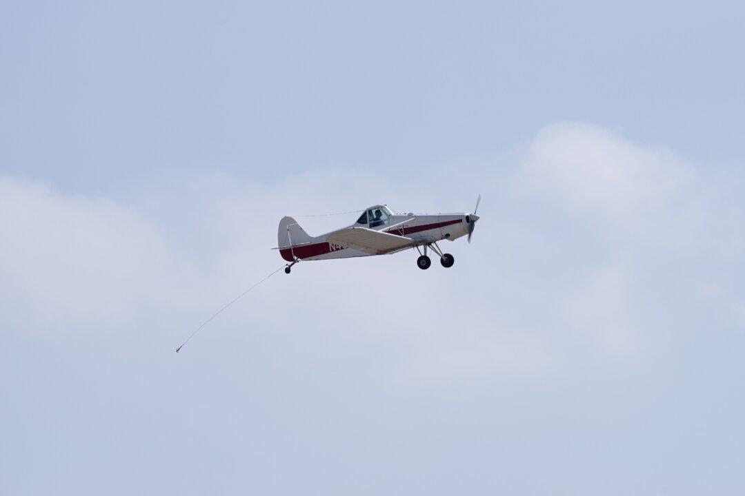 Pilot Killed in Small Plane Crash in South Florida