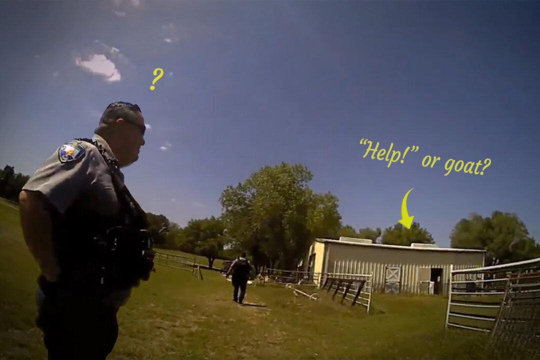 Hilarious Video Captures Police Officers Mistaking Goat’s Cry for Someone Yelling ‘Help!’