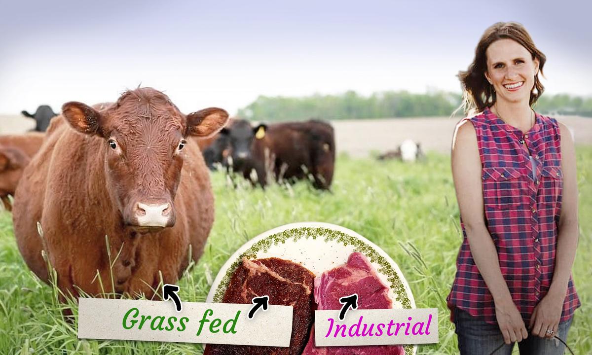‘Why Is Everyone So Sick?’: Nurse Quits Her Job to Raise Organic Grass-Fed Beef for a Better Future