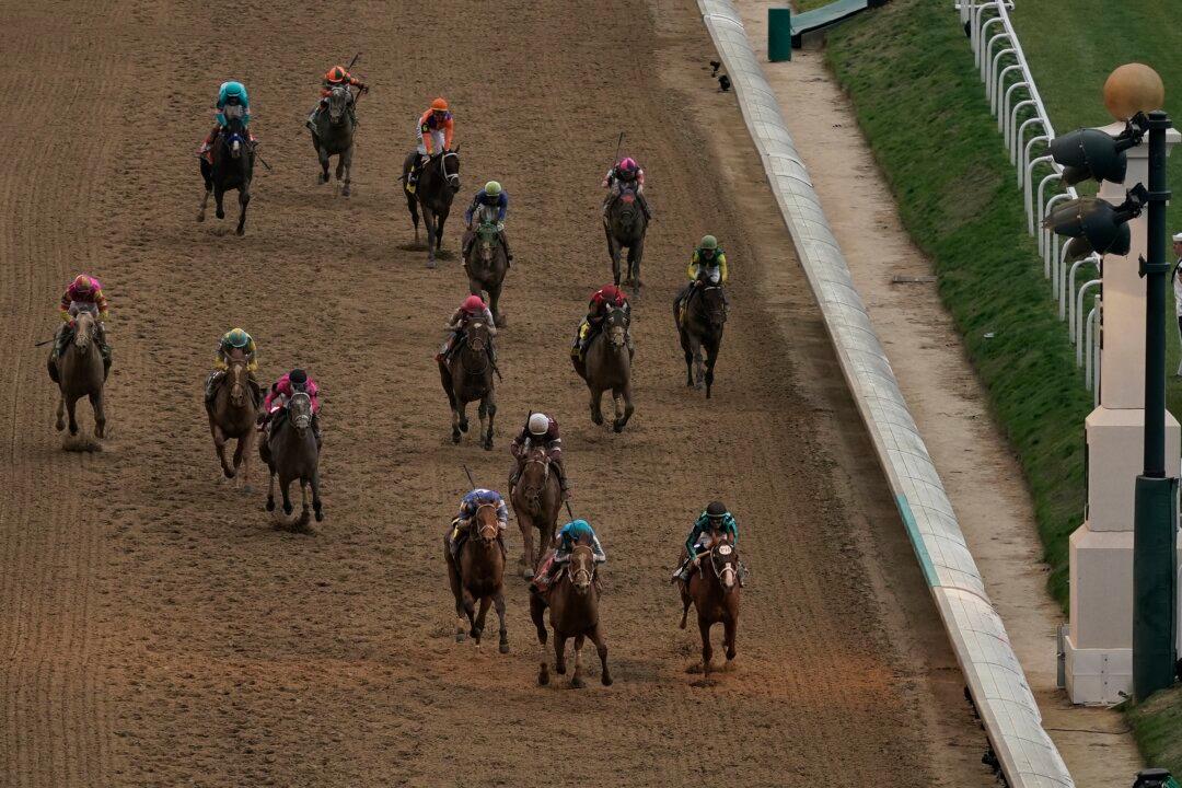 Horse Dies After Race at Churchill Downs, 9th Recent Fatality at Home of Kentucky Derby