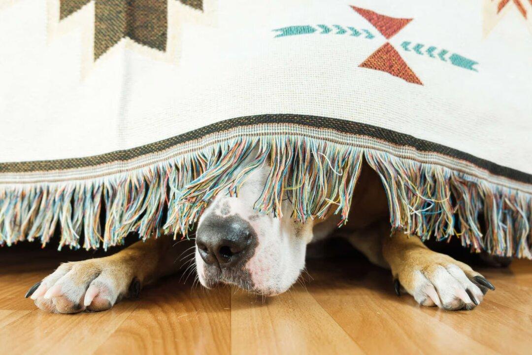 Sorry, This Is Not Going Away