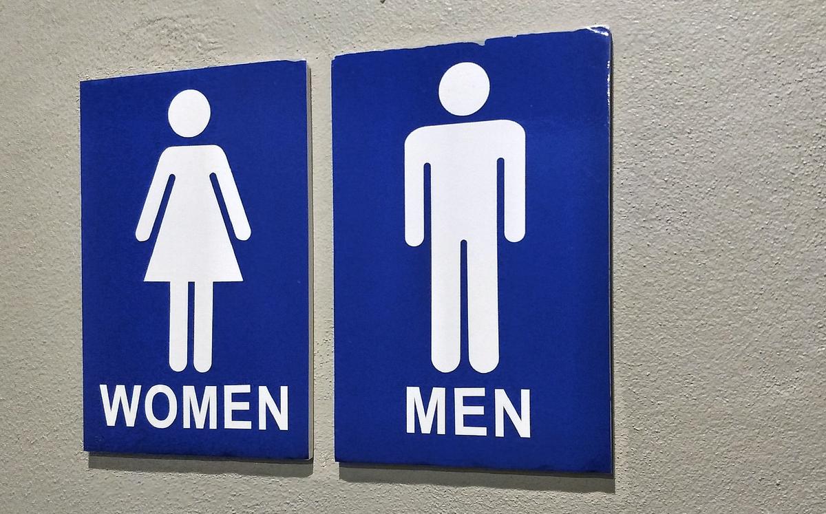 Government Launches Toilet Consultation on Banning Shared Gender-Neutral Loo