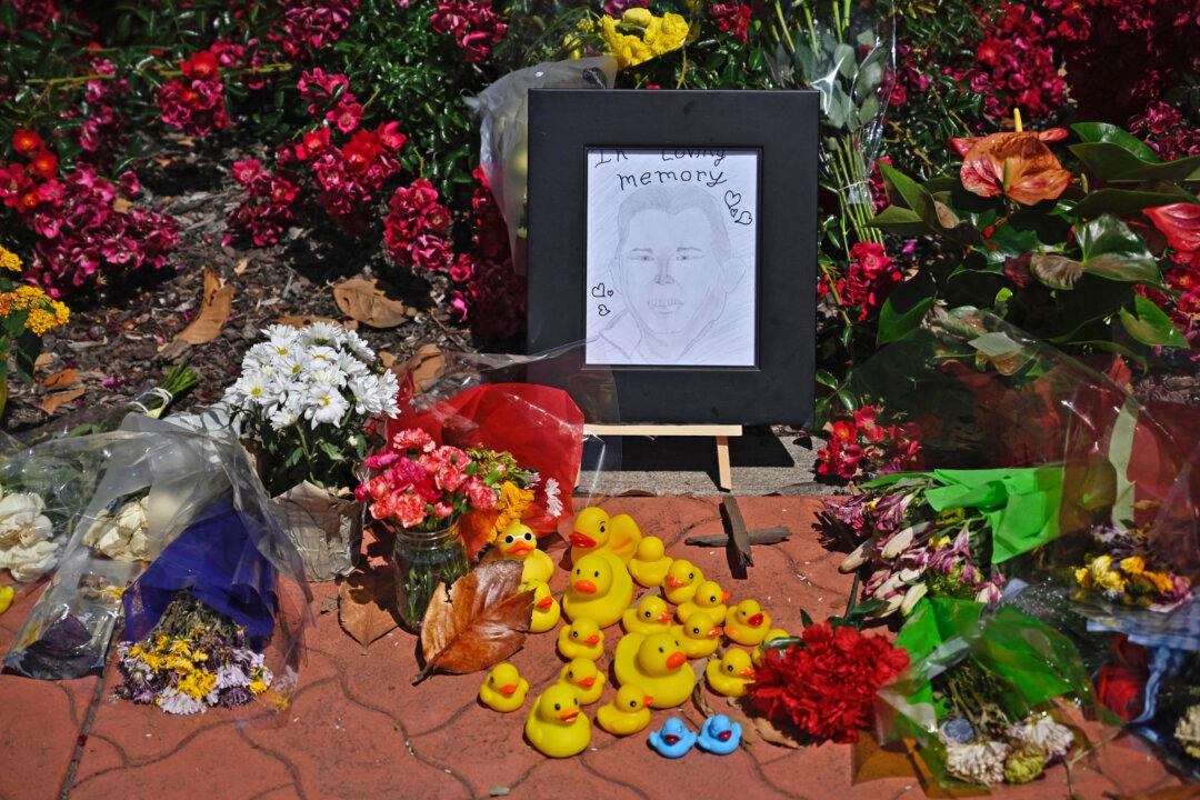 Man Killed While Helping Ducklings Safely Cross Busy California Street