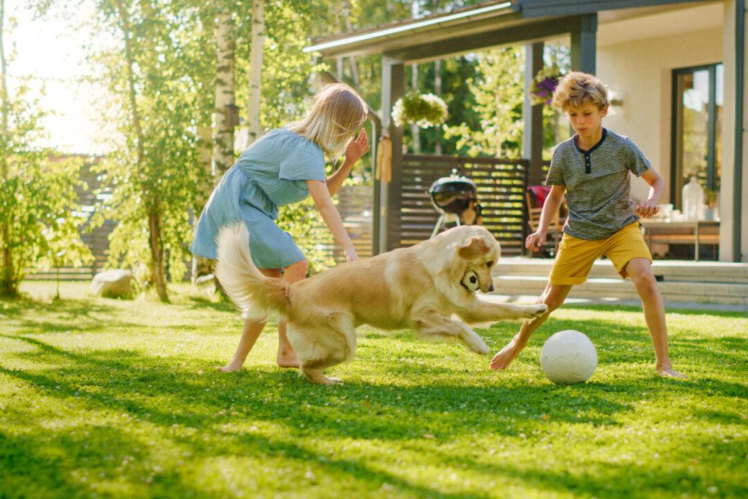 Summer: Time to ‘Deschool’