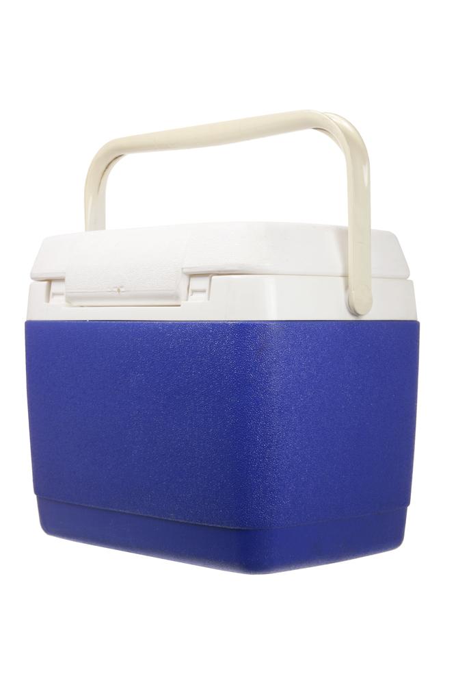 Pack your cooler with intention.(photosync/Shutterstock)