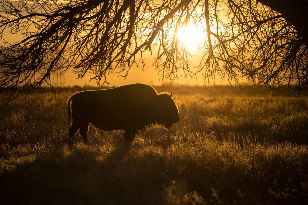 Where Are Your Summer Adventures Going to Take You?